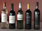 South American Wines