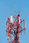 Network Antennas