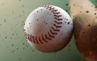 All Baseball & Softball