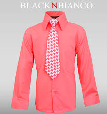 Button Down & Dress Shirts