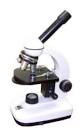 Compound Microscopes