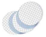 Filter Membrane