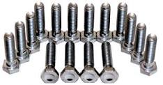 Lock Bolts