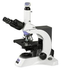 Microscopes