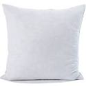 Pillow Inserts